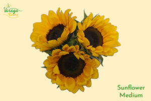 SUNFLOWER MEDIUM