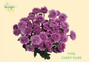 POMPON BUTTON PINK JAMEY DARK