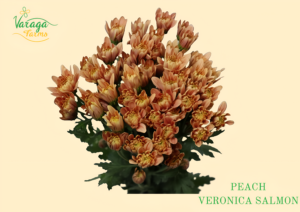 POMPON CUSHION PEACH VERONICA SALMON