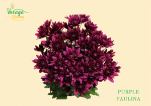 POMPON CUSHION PURPLE PAULINA