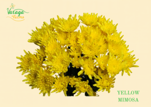 POMPON CUSHION YELLOW MIMOSA