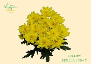 POMPON CUSHION YELLOW ZEMBLA SUNNY