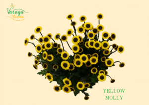 POMPON NOVELTY YELLOW MOLLY