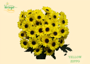 POMPON NOVELTY YELLOW ZIPPO