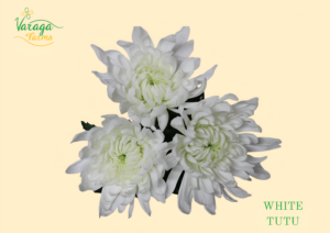 DISBUD CREMON WHITE TUTU