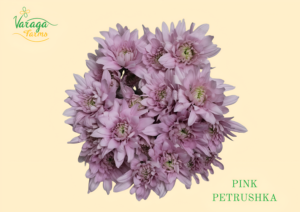 POMPON CUSHION PINK PETRUSHKA