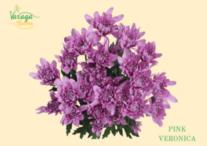 POMPON CUSHION PINK VERONICA